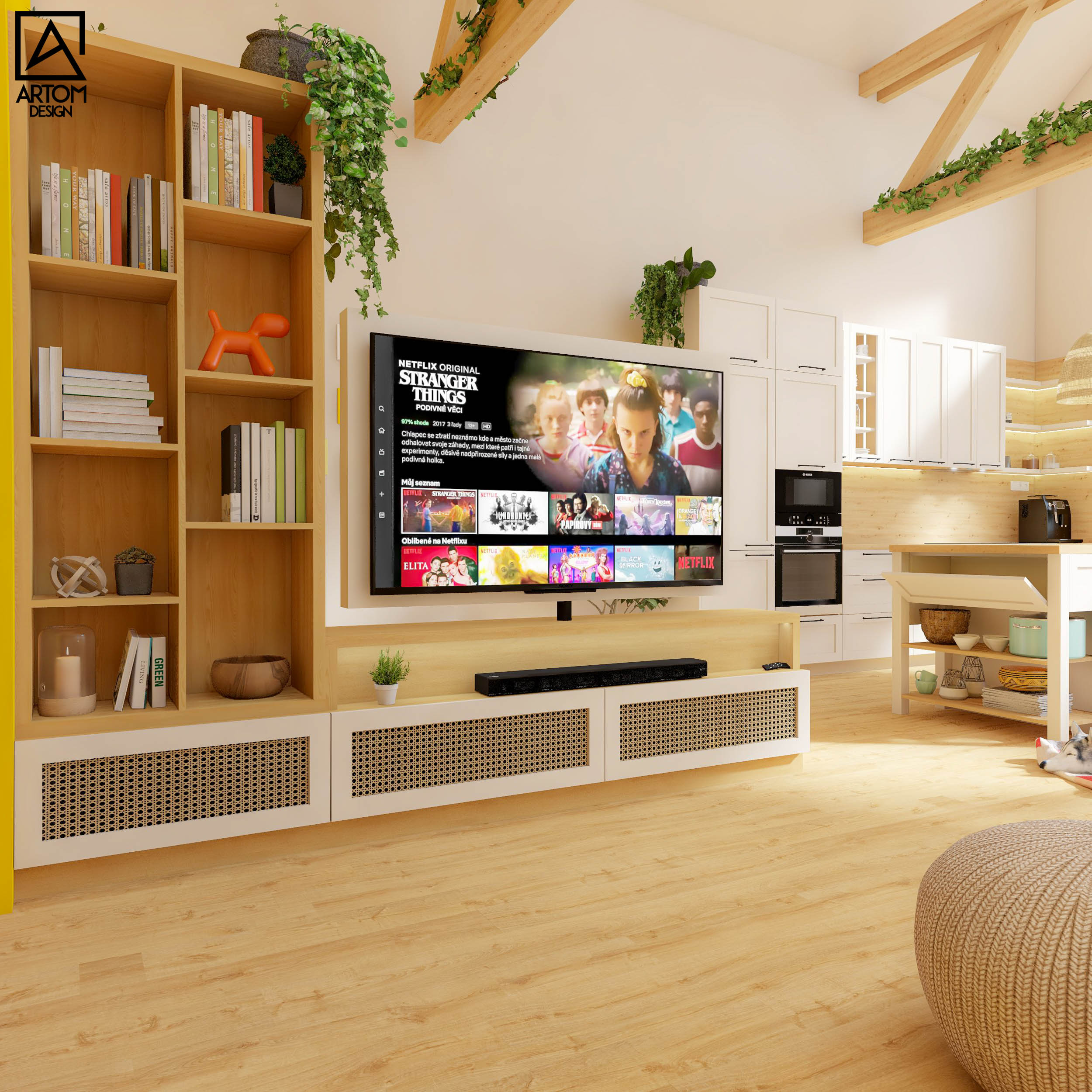 tv v priestore